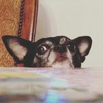 Donald quick - @c0nduct - Instagram