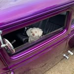 Donald Ralph - @purple_car_papa - Instagram