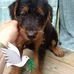 Donald Ranta - Facebook
