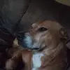 donaldrenfro7 - @donald.renfro6 - TikTok