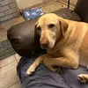 donaldrenfrow1 - @donald.renfrow - TikTok