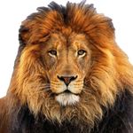 Donald Rickard - @donald.rickard.121 - Instagram