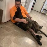 Donald Root - @electrovoice96 - Instagram