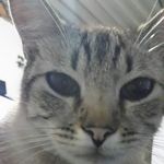 donald santos castro - @donald.s.c1 - Instagram