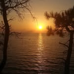 Donald Sargent - @tjitraakrad - Instagram