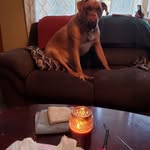 Donald Saylor - @donald.saylor.182 - Instagram