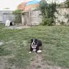 Don Scales - @don.scales7 - TikTok