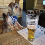 @donal_sharkey - Instagram