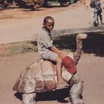 Donald Shell - @donashello - Instagram