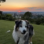 Kathryn Donald Shook - @kdshook - Instagram