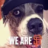 Donald Shum - @donald.shum - TikTok