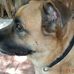 Donald Siebert - Facebook
