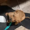 Donald Skinner - @donald.skinner7 - TikTok