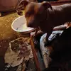 Donald Skinner - @donald.skinner07 - TikTok