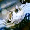 donnasleeper - @donnasleeper - TikTok
