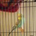Donald Snook - Facebook