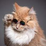 @donaldsnooker - Instagram