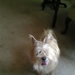 Tammy Donaldson Snook - @donaldsonsnook - Instagram