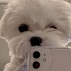Donald Solis - @donaldsolis7482 - TikTok