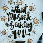 DonaldandMika Sparrow - @donaldandmikasparrow - Instagram