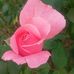 Donald Spohn - Facebook