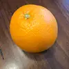 DonnieandMarie - @donaldsquires5 - TikTok