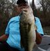 Donald Staton - Facebook