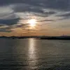dsteinman - @dsteinman20 - TikTok