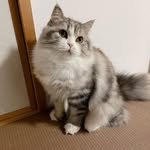 Donald steven - @_lily__lilly_ - Instagram