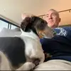 Donald Steven - @donald.steven310 - TikTok
