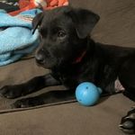 Donald Steward - @legalresourcedon - Instagram
