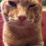 Donald L Stoner - @huggermuggertastyrecipes2 - Instagram