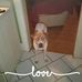 Donald Stowell - Facebook