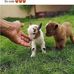 Donaldeugene Stowefarm - Facebook