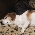 Donald Sjostrom - @donaldsjostrom - Instagram