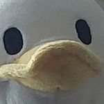 Donald Stuck - @donaldstuck - Instagram