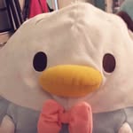 Donald_stuffie - @donald_stuffie - Instagram