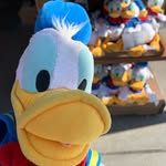 Donald’s Adventures - @donaldduckdoingstuff - Instagram