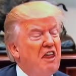 @donaldtrxmpstuff - Instagram