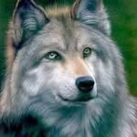 Don Sully Sullivan - @donald.sullivan.18 - Instagram
