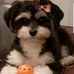 Donald Sullivan - Facebook