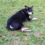 Donald Sullivan - @donald.sullivan.921677 - Instagram