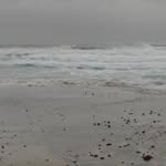 Donald Swenson - @takakumonde - Instagram