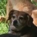 Donald Tanner - Facebook