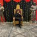 Donald Tarver - Facebook