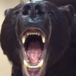 Donald Templeton - @donald.templeton - Instagram