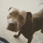 Donald - @donaldtharpe210 - Instagram