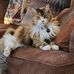 Donald B. Thrasher - Facebook