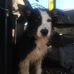 Donald Toms - Facebook