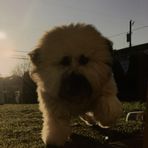 Donald Tolbert - Facebook